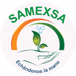 Samexsa